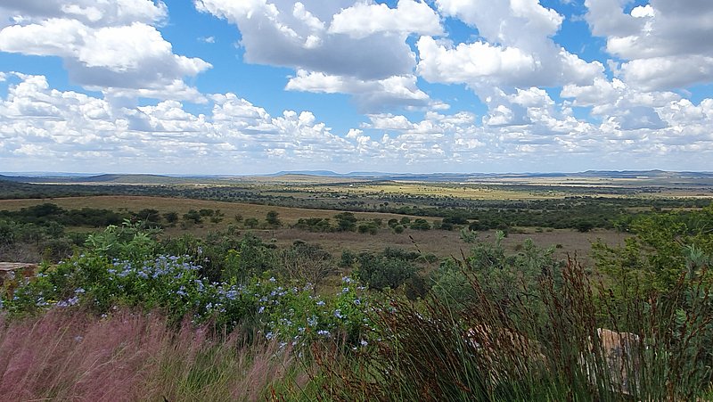 Landschaft in der Nähe von Potchefstroom, wo die North-West University beheimatet ist.