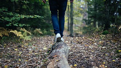 Work-Life-Balance-Praktiken in verschiedenen Wohlfahrtsstaaten und Branchen