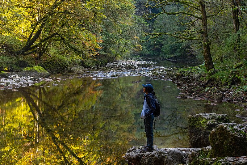 «Shinrin yoku»: der japanische Begriff meint das eingedeutschte «Waldbaden». Pornpimol weiss um die heilsame Wirkung und liebt es, sich im Wald und natürlichen Energieorten aufzuhalten.